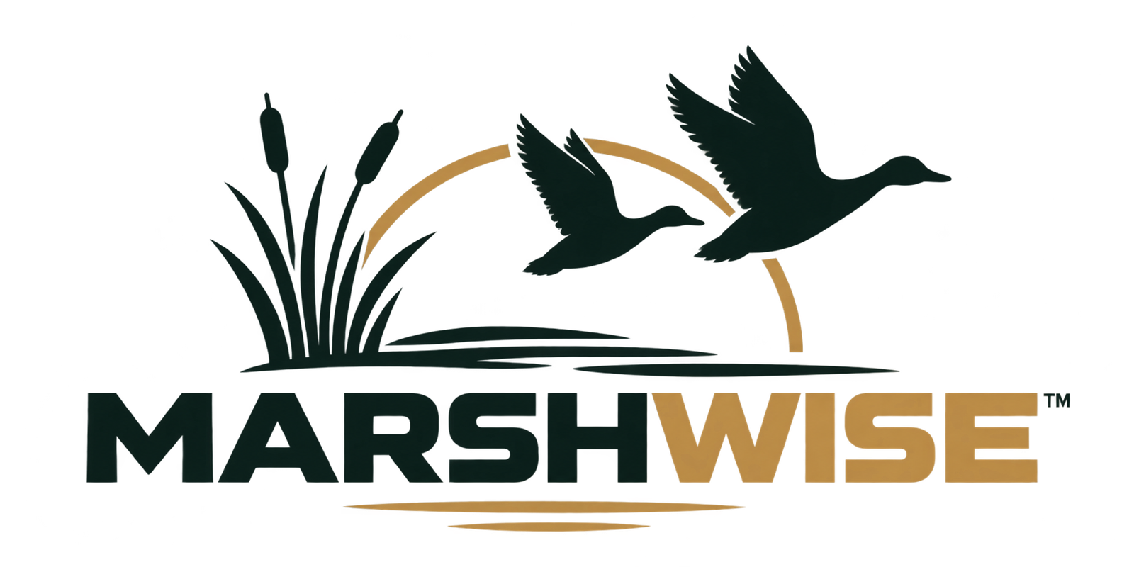 Marshwise